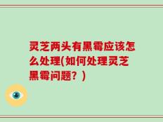 灵芝两头有黑霉应该怎么处理(如何处理灵芝黑霉问题？)