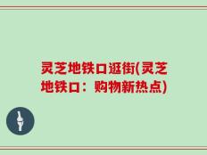 灵芝地铁口逛街(灵芝地铁口：购物新热点)