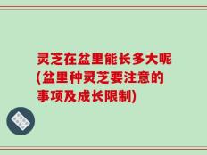 灵芝在盆里能长多大呢(盆里种灵芝要注意的事项及成长限制)