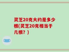 灵芝20克大约是多少根(灵芝20克相当于几根？)