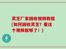 灵芝厂家回收视频教程(如何回收灵芝？看这个视频就够了！)