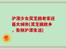 沪漂少女灵芝回老家还是大城市(灵芝回故乡，告别沪漂生活)