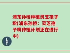 浦东孙桥种植灵芝孢子粉(浦东孙桥：灵芝孢子粉种植计划正在进行中)