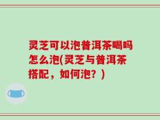 灵芝可以泡普洱茶喝吗怎么泡(灵芝与普洱茶搭配，如何泡？)