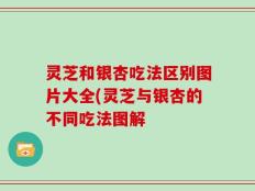 灵芝和银杏吃法区别图片大全(灵芝与银杏的不同吃法图解