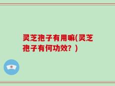 灵芝孢子有用嘛(灵芝孢子有何功效？)