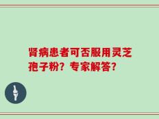 肾病患者可否服用灵芝孢子粉？专家解答？