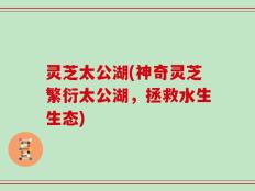灵芝太公湖(神奇灵芝繁衍太公湖，拯救水生生态)