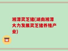 湘潭灵芝猪(湖南湘潭大力发展灵芝猪养殖产业)