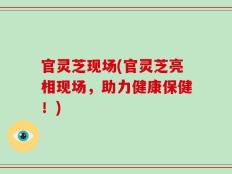 官灵芝现场(官灵芝亮相现场，助力健康保健！)
