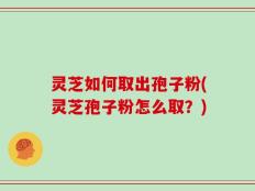 灵芝如何取出孢子粉(灵芝孢子粉怎么取？)