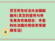 灵芝养生吃法大全图解图片(灵芝的营养与养生美食完美结合：丰富的吃法图片教你享受健康生活)