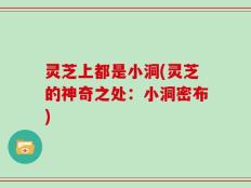 灵芝上都是小洞(灵芝的神奇之处：小洞密布)