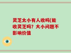 灵芝太小有人收吗(能收灵芝吗？大小问题不影响价值