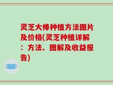 灵芝大棒种植方法图片及价格(灵芝种植详解：方法、图解及收益报告)