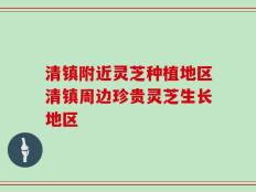 清镇附近灵芝种植地区清镇周边珍贵灵芝生长地区