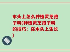 木头上怎么种植灵芝孢子粉(种植灵芝孢子粉的技巧：在木头上生长)