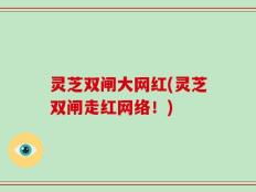 灵芝双闸大网红(灵芝双闸走红网络！)