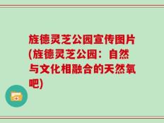 旌德灵芝公园宣传图片(旌德灵芝公园：自然与文化相融合的天然氧吧)