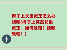 椅子上长出灵芝怎么办视频(椅子上突然长出灵芝，如何处理？视频教程！)