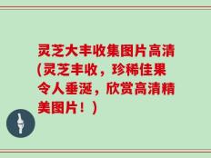 灵芝大丰收集图片高清(灵芝丰收，珍稀佳果令人垂涎，欣赏高清精美图片！)