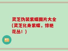 灵芝伪装紫蝶图片大全(灵芝化身紫蝶，惊艳花丛！)