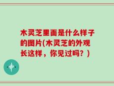木灵芝里面是什么样子的图片(木灵芝的外观长这样，你见过吗？)