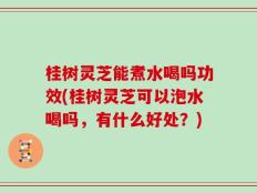桂树灵芝能煮水喝吗功效(桂树灵芝可以泡水喝吗，有什么好处？)