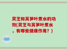 灵芝和莴笋叶煮水的功效(灵芝与莴笋叶煮水，有哪些健康作用？)