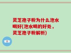 灵芝孢子粉为什么泡水喝好(泡水喝的好处，灵芝孢子粉解析)