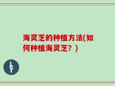 海灵芝的种植方法(如何种植海灵芝？)