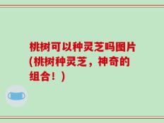 桃树可以种灵芝吗图片(桃树种灵芝，神奇的组合！)
