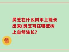 灵芝在什么树木上能长出来(灵芝可在哪些树上自然生长？