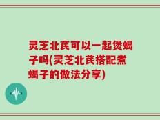 灵芝北芪可以一起煲蝎子吗(灵芝北芪搭配煮蝎子的做法分享)