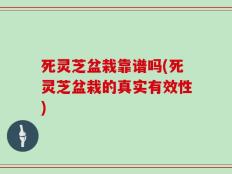 死灵芝盆栽靠谱吗(死灵芝盆栽的真实有效性)