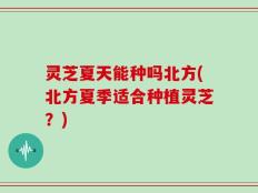 灵芝夏天能种吗北方(北方夏季适合种植灵芝？)