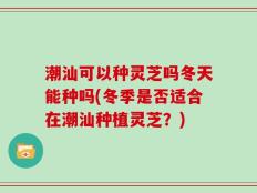 潮汕可以种灵芝吗冬天能种吗(冬季是否适合在潮汕种植灵芝？)