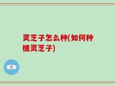 灵芝子怎么种(如何种植灵芝子)