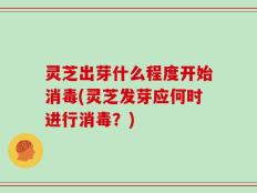 灵芝出芽什么程度开始消毒(灵芝发芽应何时进行消毒？)