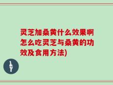 灵芝加桑黄什么效果啊怎么吃灵芝与桑黄的功效及食用方法)