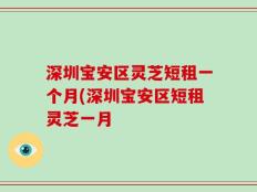 深圳宝安区灵芝短租一个月(深圳宝安区短租灵芝一月