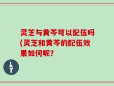 灵芝与黄芩可以配伍吗(灵芝和黄芩的配伍效果如何呢？