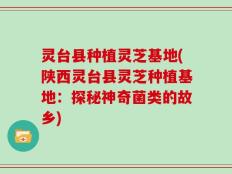 灵台县种植灵芝基地(陕西灵台县灵芝种植基地：探秘神奇菌类的故乡)