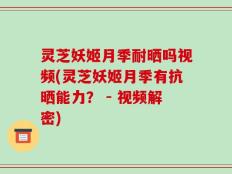灵芝妖姬月季耐晒吗视频(灵芝妖姬月季有抗晒能力？ - 视频解密)