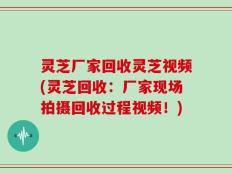 灵芝厂家回收灵芝视频(灵芝回收：厂家现场拍摄回收过程视频！)