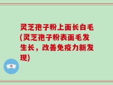 灵芝孢子粉上面长白毛(灵芝孢子粉表面毛发生长，改善免疫力新发现)