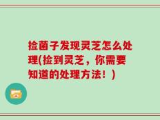 捡菌子发现灵芝怎么处理(捡到灵芝，你需要知道的处理方法！)