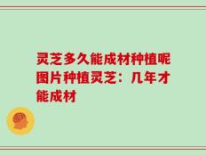 灵芝多久能成材种植呢图片种植灵芝：几年才能成材