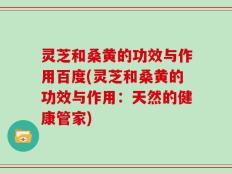 灵芝和桑黄的功效与作用百度(灵芝和桑黄的功效与作用：天然的健康管家)