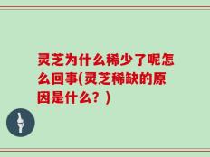 灵芝为什么稀少了呢怎么回事(灵芝稀缺的原因是什么？)
